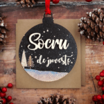 socru (4)