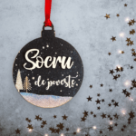 socru (4)