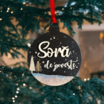 sora (4)